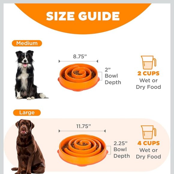 OUTWARD HOUND Fun Feeder Dog Bowl Interactive Slow Eating 10" x 2" - Picture 6 of 9